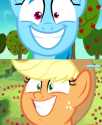 Size: 1106x1356 | Tagged: safe, screencap, applejack, rainbow dash, pony, g4, going to seed, grannies gone wild, apple tree, cartoonito logo, comparison, face, funny, smiling, tree