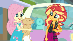 Size: 1920x1080 | Tagged: safe, screencap, fluttershy, sunset shimmer, cat, driving miss shimmer, equestria girls, equestria girls series, g4, car, choose your own ending (season 1), cute, driving miss shimmer: fluttershy, duo, duo female, female, fluttershy's car, geode of empathy, geode of fauna, magical geodes, miss kitty, shimmerbetes, shyabetes