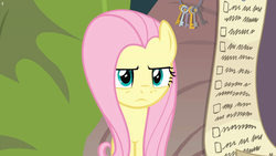 Size: 1920x1080 | Tagged: safe, screencap, fluttershy, pony, g4, she talks to angel, checklist, female, fluttershy is not amused, mare, solo, unamused