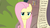 Size: 1920x1080 | Tagged: safe, screencap, fluttershy, pony, g4, she talks to angel, checklist, female, fluttershy is not amused, mare, solo, unamused