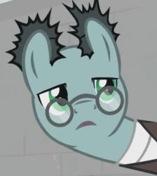 Size: 332x371 | Tagged: safe, screencap, sans smirk, earth pony, pony, g4, the last laugh, animated, blinking, cropped, electricity, glasses, male, perfect loop, reaction image, solo, stallion, zzt