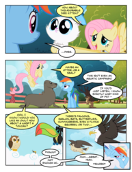 Size: 600x776 | Tagged: safe, artist:l3f4y4f3l, artist:newbiespud, edit, edited screencap, screencap, fluttershy, mitsy, rainbow dash, bald eagle, bird, cat, eagle, falcon, keel-billed toucan, otter, owl, pegasus, peregrine falcon, pony, seal, toucan, wasp, comic:friendship is dragons, g4, may the best pet win, cloud, collaboration, comic, dialogue, female, mare, on a cloud, screencap comic, tired, tongue out, tree