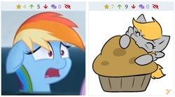 Size: 856x475 | Tagged: safe, derpy hooves, rainbow dash, derpibooru, g4, food, juxtaposition, meta, muffin