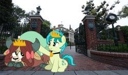 Size: 6872x4000 | Tagged: safe, artist:aleximusprime, artist:disneymarvel96, edit, vector edit, sandbar, yona, pony, yak, g4, comforting, crown, disney, disneyland, evil queen, female, irl, jewelry, male, necklace, photo, ponies in real life, regalia, scared, shell, ship:yonabar, shipping, straight, the haunted mansion, ursula, vector
