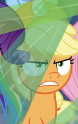 Size: 231x369 | Tagged: safe, screencap, applejack, fluttershy, rainbow dash, rarity, pony, g4, the ending of the end, leak, angry, applejack is not amused, cropped, shrunken pupils, solo focus, unamused