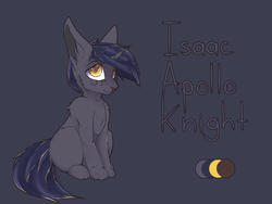 Size: 2000x1500 | Tagged: safe, artist:chapaevv, oc, oc only, oc:isaac apollo knight, cat, male, reference sheet, simple background, sitting, solo