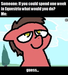 Size: 477x529 | Tagged: safe, artist:fluttershyisnot adoormat, artist:pokehidden, oc, oc only, oc:big brian, pony, banned from equestria daily, male, meme, stallion