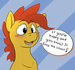 Size: 1544x1440 | Tagged: safe, artist:fuzzypones, oc, oc only, pony, blush sticker, blushing, boop request, boop the snoot, colored, cute, dialogue, male, ocbetes, open mouth, solo, speech bubble, text