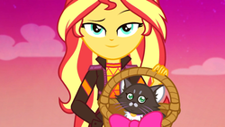 Size: 1904x1080 | Tagged: safe, screencap, sunset shimmer, cat, equestria girls, equestria girls specials, g4, my little pony equestria girls: better together, my little pony equestria girls: sunset's backstage pass, basket, clothes, cute, female, hattie, jacket, kitten, lidded eyes, looking at you, outdoors, shimmerbetes, smiling