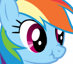 Size: 900x790 | Tagged: safe, artist:camtwo, derpibooru exclusive, rainbow dash, pegasus, pony, g4, animated, female, gif, mare, nose wrinkle, puppet rig, scrunchy face, simple background, solo, transparent background, vibrating