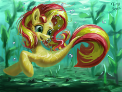 Size: 2048x1536 | Tagged: safe, artist:tinybenz, sunset shimmer, seapony (g4), g4, air bubble, bubble, cute, female, not fiery shimmer, seaponified, seapony sunset, shimmerbetes, signature, solo, species swap, underwater