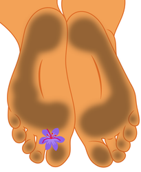 Size: 3334x4068 | Tagged: safe, artist:lilihoof, saffron masala, human, g4, dirty feet, feet, fetish, foot fetish, foot focus, legs, pictures of legs, simple background, soles, white background