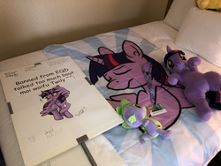 Size: 4032x3024 | Tagged: safe, artist:klplushies, spike, starlight glimmer, trixie, twilight sparkle, alicorn, pony, bronycon 2019, g4, blushing, build-a-bear, collection, duo, irl, lanyard, merchandise, photo, plushie, poster, signature, twilight sparkle (alicorn)