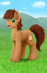 Size: 720x1110 | Tagged: safe, artist:redquoz, oc, oc only, oc:red bark, earth pony, pony, chest fluff, ear fluff, field, fluffy, grass field, green eyes, happy, looking at you, male, paintover, paintstorm studio, ponysona, smiling, solo, stallion, teeth, three quarter view