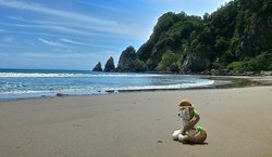 Size: 2048x1189 | Tagged: safe, artist:hihin1993, oc, oc only, pony, beach, irl, japan, lonely, photo, plushie, solo, sunlight, water