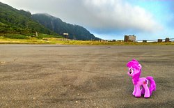 Size: 2189x1356 | Tagged: safe, artist:hihin1993, berry punch, berryshine, earth pony, pony, g4, irl, japan, lonely, photo, plushie, solo