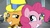 Size: 1459x827 | Tagged: safe, screencap, banana mash, cheese sandwich, lavender chuckle, pinkie pie, earth pony, pony, g4, my little pony: friendship is magic, the last laugh, female, male