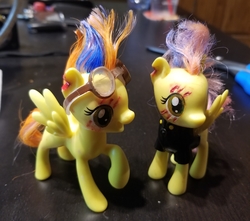 Size: 3024x2668 | Tagged: safe, oc, pegasus, pony, high res, photo, solo