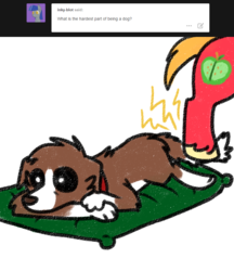 Size: 800x926 | Tagged: safe, artist:askwinonadog, big macintosh, winona, dog, ask winona, g4, ask, duo, lying down, offscreen character, oops, pain, simple background, solo focus, tumblr, white background
