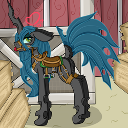 Size: 5000x5000 | Tagged: safe, artist:cuddlelamb, queen chrysalis, pony, g4, ballgag, barn, blushing, bridle, butt, female, floating heart, gag, harness, hay bale, heart, plot, reins, saddle, solo, stirrups, story in the comments, tack