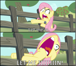 Size: 5051x4400 | Tagged: safe, artist:mr-breadman, derpibooru exclusive, fluttershy, pony, buckball season, g4, scare master, absurd resolution, angry, apple tree, caption, faic, female, fence, flutterscream, fluttershy vs door, image macro, let me in, meme, microphone, nose in the air, open mouth, ponified meme, scenery, screaming, show accurate, solo, text, the eric andre show, tree, vector