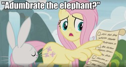 Size: 960x514 | Tagged: safe, edit, edited screencap, screencap, angel bunny, fluttershy, elephant, pegasus, pony, rabbit, g4, she talks to angel, animal, caption, checklist, female, image macro, labyrinth, male, mare, scroll, text, waterfall, wing hands, wings