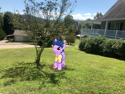 Size: 4032x3024 | Tagged: safe, gameloft, photographer:undeadponysoldier, twilight sparkle, pony, unicorn, g4, augmented reality, beautiful, bush, clothes, cute, dress, female, field, house, irl, mare, photo, ponies in real life, solo, tree, twiabetes, unicorn twilight