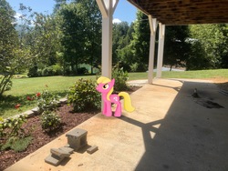Size: 4032x3024 | Tagged: safe, gameloft, photographer:undeadponysoldier, lily, lily valley, earth pony, pony, g4, augmented reality, cinder block, female, flower, irl, mare, photo, ponies in real life, rose, solo, tree