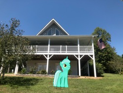 Size: 4032x3024 | Tagged: safe, gameloft, photographer:undeadponysoldier, lyra heartstrings, pony, unicorn, g4, american flag, augmented reality, balcony, female, house, irl, mare, photo, ponies in real life, solo, tree