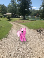 Size: 3024x4032 | Tagged: safe, gameloft, photographer:undeadponysoldier, cheerilee, earth pony, pony, g4, augmented reality, cabin, female, house, irl, lake, mare, photo, ponies in real life, solo, tennessee, tree, water
