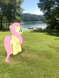 Size: 3024x4032 | Tagged: safe, gameloft, photographer:undeadponysoldier, fluttershy, human, pegasus, pony, g4, augmented reality, beautiful, boat, female, irl, irl human, lake, majestic, mare, photo, ponies in real life, tree, truck, water