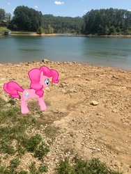 Size: 3024x4032 | Tagged: safe, gameloft, photographer:undeadponysoldier, pinkie pie, earth pony, pony, g4, augmented reality, female, irl, island, lake, mare, photo, ponies in real life, rock, solo, water