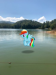 Size: 3024x4032 | Tagged: safe, gameloft, photographer:undeadponysoldier, rainbow dash, pegasus, pony, g4, augmented reality, female, flying, followup, irl, lake, mare, photo, ponies in real life, solo, water
