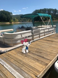 Size: 3024x4032 | Tagged: safe, gameloft, photographer:undeadponysoldier, pipsqueak, earth pony, pony, g4, augmented reality, boat, colt, foal, irl, lake, male, photo, pirate outfit, ponies in real life, solo, water