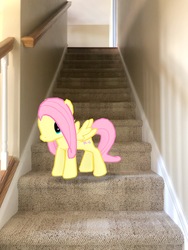 Size: 3024x4032 | Tagged: safe, gameloft, photographer:undeadponysoldier, fluttershy, pegasus, pony, g4, augmented reality, female, irl, mare, photo, ponies in real life, solo, stairmaster, stairs
