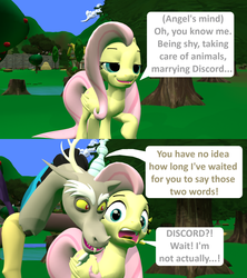 Size: 1920x2160 | Tagged: safe, artist:red4567, angel bunny, discord, fluttershy, g4, she talks to angel, 3d, comic, description is artwork too, female, male, ship:discoshy, shipping, source filmmaker, straight