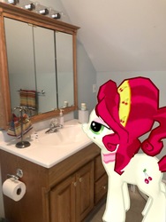 Size: 3024x4032 | Tagged: safe, gameloft, photographer:undeadponysoldier, cherry jubilee, earth pony, pony, g4, augmented reality, bathroom, female, irl, mare, mirror, photo, ponies in real life, sink, solo, toilet paper