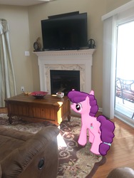 Size: 3024x4032 | Tagged: safe, gameloft, photographer:undeadponysoldier, sugar belle, earth pony, pony, g4, augmented reality, clock, female, fireplace, flatscreen, irl, mare, photo, ponies in real life, solo, table, television
