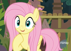 Size: 1498x1080 | Tagged: safe, screencap, fluttershy, pegasus, pony, g4, she talks to angel, bags under eyes, cropped, discovery family logo, female, mare, messy mane, solo