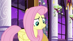 Size: 1920x1080 | Tagged: safe, screencap, fluttershy, pony, g4, the summer sun setback, female, mare, solo