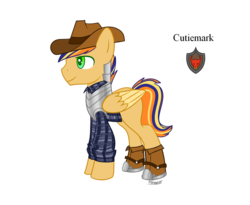 Size: 988x809 | Tagged: safe, artist:forteycat-adopts, oc, oc only, oc:feather hastam, pegasus, pony, armor, boots, cowboy boots, cowboy hat, flannel, hat, magical gay spawn, male, multicolored hair, offspring, parent:braeburn, parent:flash sentry, parents:flashburn, shoes, simple background, solo, stallion, transparent background