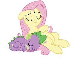 Size: 750x578 | Tagged: safe, artist:red4567, edit, editor:undeadponysoldier, fluttershy, spike, pegasus, pony, 2 4 6 greaaat, g4, cute, duo, eyes closed, female, fluttermom, hoof on chest, male, mare, ship:flutterspike, shipping, simple background, sleeping, spikelove, straight, vector, white background