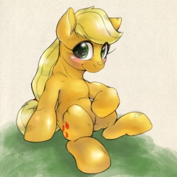 Size: 1400x1400 | Tagged: safe, artist:kurogewapony, applejack, earth pony, pony, g4, blushing, female, freckles, looking at you, mare, sitting, smiling, solo