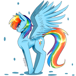 Size: 3000x3000 | Tagged: safe, artist:coociecat, rainbow dash, pony, g4, female, high res, rain, signature, simple background, solo, spread wings, white background, wings
