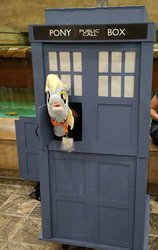 Size: 1294x2048 | Tagged: safe, photographer:toughlessons, derpy hooves, pony, bronycon, g4, doctor who, hand puppet, happy, irl, photo, smiling, tardis, time machine
