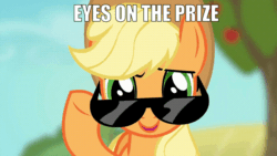 Size: 800x450 | Tagged: safe, edit, screencap, applejack, equestria hills 90210, g4, caption, eyes on the prize, gif, image macro, non-animated gif, sunglasses, text