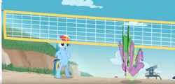 Size: 1773x851 | Tagged: safe, screencap, rainbow dash, spike, dragon, pegasus, pony, g4, animation error, bipedal, falling, female, great moments in animation, male, mare, net, smear frame, sports, volleyball