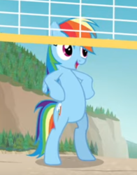 Size: 289x369 | Tagged: safe, screencap, rainbow dash, pegasus, pony, equestria hills 90210, g4, bipedal, cropped, female, hooves on hips, mare, open mouth, smiling, solo, volleyball net