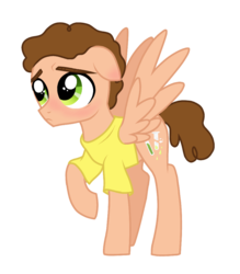 Size: 888x1015 | Tagged: safe, artist:unoriginai, pegasus, pony, crossover, cute, male, morty smith, ponified, rick and morty, teenager