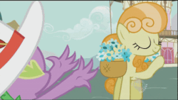 Size: 500x281 | Tagged: safe, screencap, junebug, spike, earth pony, pony, g4, secret of my excess, animated, basket, claws, cute, female, flower, flower basket, hat, hub logo, mare, ponyville town hall, raised hoof, talking